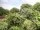 Webcam in Audley, 73.5 km