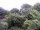 Webcam in Audley, 19.2 km