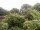 Webcam in Audley, 73.5 km