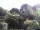 Webcam in Audley, 50.2 mi away