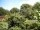 Webcam in Audley, 23.1 mi away