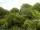 Webcam in Audley, 16.5 mi away