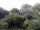 Webcam in Audley, 27.2 mi away