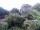Webcam in Audley, 11.1 mi away