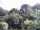 Webcam in Audley, 70.6 km