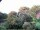 Webcam in Audley, 63.4 km entfernt