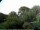 Webcam in Audley, 50.2 mi away
