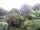 Webcam in Audley, 7.5 mi away