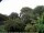 Webcam in Audley, 31.3 mi away