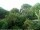 Webcam in Audley, 22.7 mi away