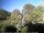 Webcam in Audley, 123.1 km