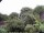 Webcam in Audley, 27.3 mi away