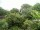 Webcam in Audley, 31.3 mi away