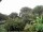 Webcam in Audley, 35.1 mi away