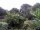 Webcam in Audley, 50.2 mi away
