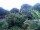 Webcam in Audley, 27.3 mi away