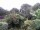 Webcam in Audley, 9.4 mi away