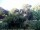 Webcam in Audley, 19.2 km entfernt