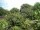 Webcam in Audley, 31.3 mi away