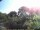 Webcam in Audley, 50.2 mi away