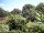 Webcam in Audley, 11.1 mi away