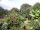 Webcam in Audley, 48.9 km