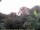 Webcam in Audley, 61.5 km