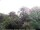 Webcam in Audley, 47.5 mi away