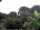 Webcam in Audley, 49.1 km