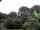 Webcam in Audley, 103.8 km