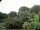 Webcam in Audley, 123.5 km