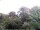 Webcam in Audley, 50.2 mi away