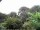 Webcam in Audley, 66.6 km
