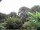 Webcam in Audley, 66.6 km