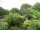 Webcam in Audley, 81.1 km
