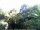 Webcam in Audley, 50.2 mi away