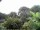 Webcam in Audley, 7.5 mi away