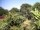 Webcam in Audley, 11.1 mi away