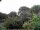 Webcam in Audley, 27.3 mi away