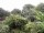 Webcam in Audley, 59.9 km