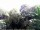 Webcam in Audley, 70.6 km