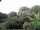 Webcam in Audley, 50.2 mi away