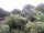 Webcam in Audley, 123.1 km