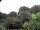 Webcam in Audley, 58.9 km