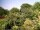Webcam in Audley, 28.8 km entfernt