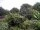 Webcam in Audley, 23.7 mi away