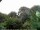 Webcam in Audley, 7.5 mi away