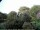 Webcam in Audley, 7.6 mi away