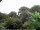 Webcam in Audley, 74.1 km