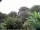Webcam in Audley, 74.1 km